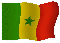 ARE YOU A REAL SENEGALESE?